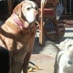 Meet your Posher, Candyce